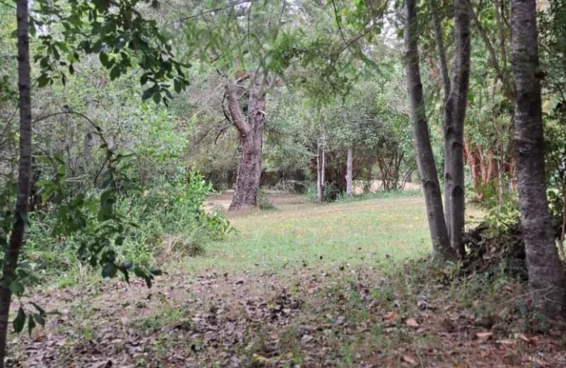 Área de baños y duchas del camping