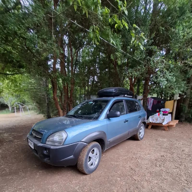 Sitio de camping 12 con espacio mediano para carpas rodeado de bosque nativo