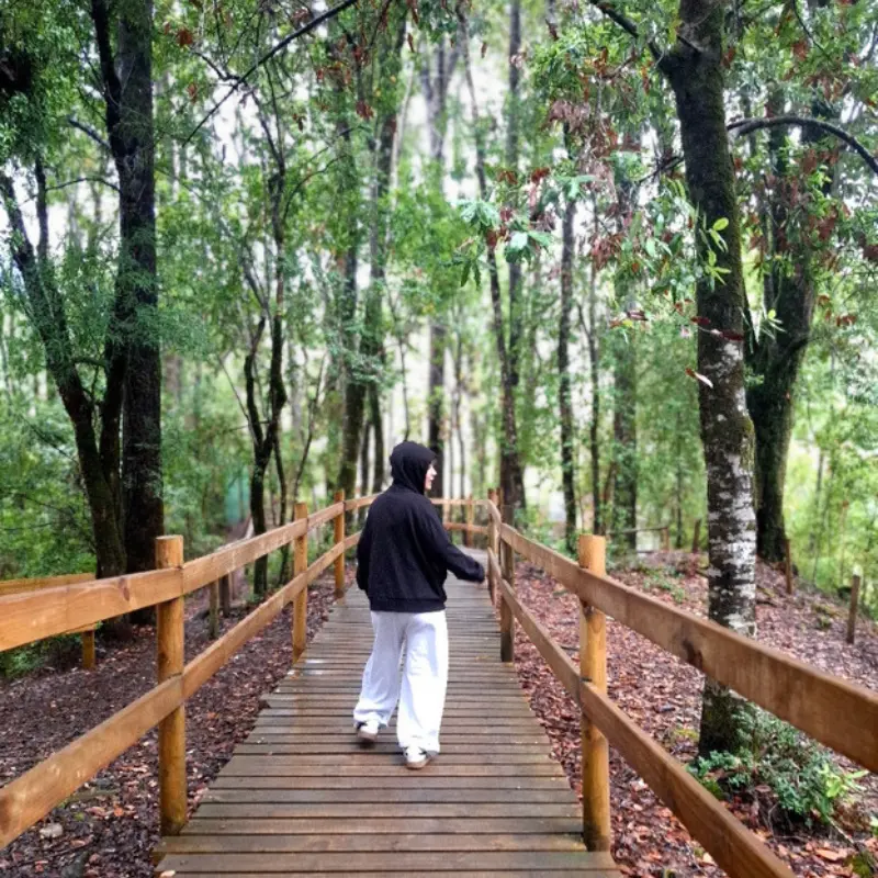 Paseo ojos del caburgua