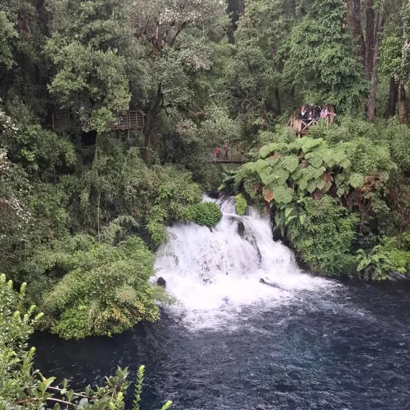 Cascada los ojos del caburgua rodeada de bosque nativo