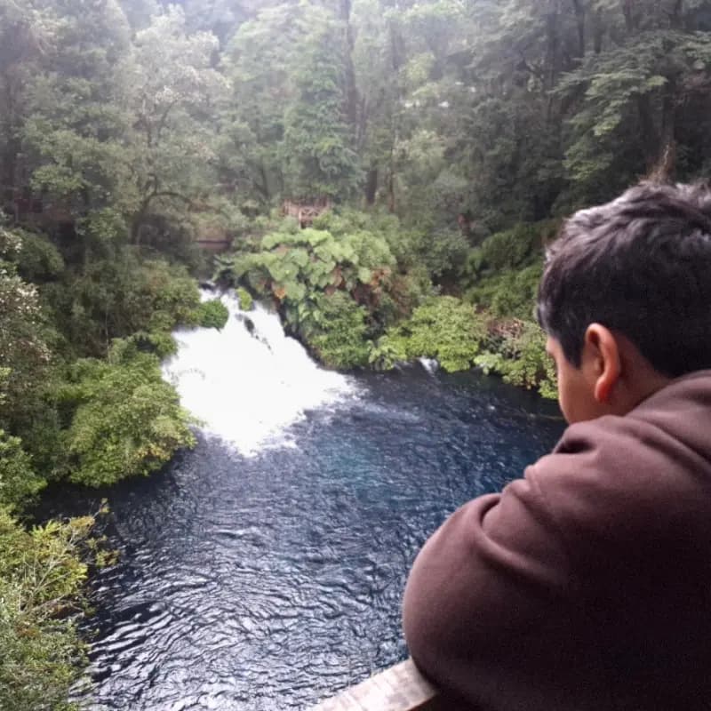 Mirador los ojos del caburgua