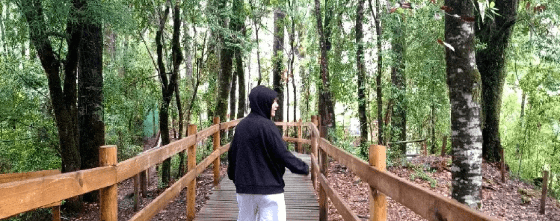 Camino hacia ojos del Caburgua
